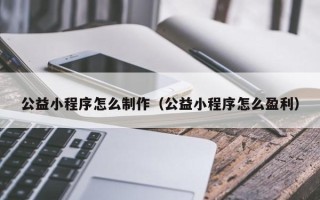 普洱公益小程序怎么制作（公益小程序怎么盈利）